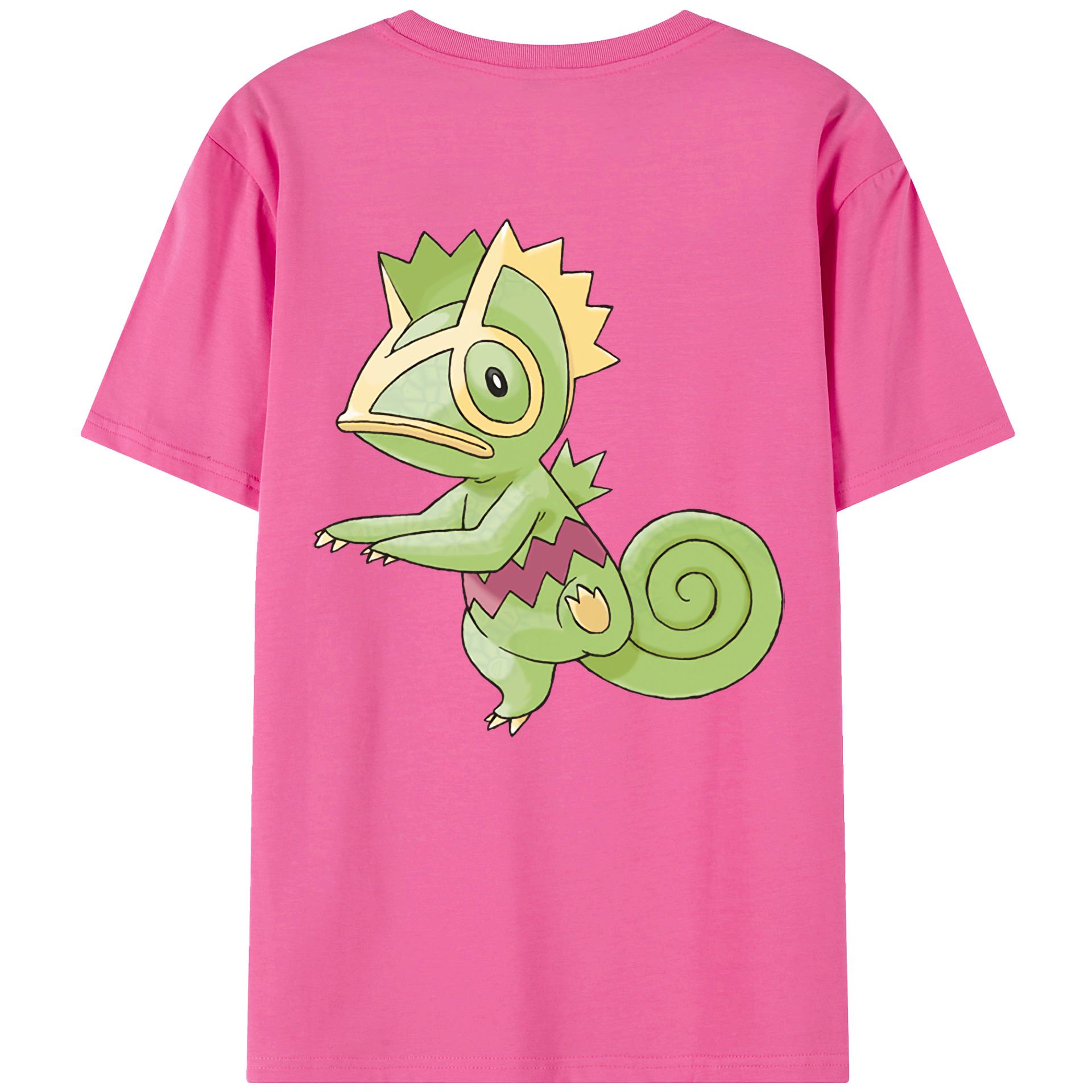 （画像用） ポケットモンスター Pokémon レディース半袖Tシャツ(バックプリント)
